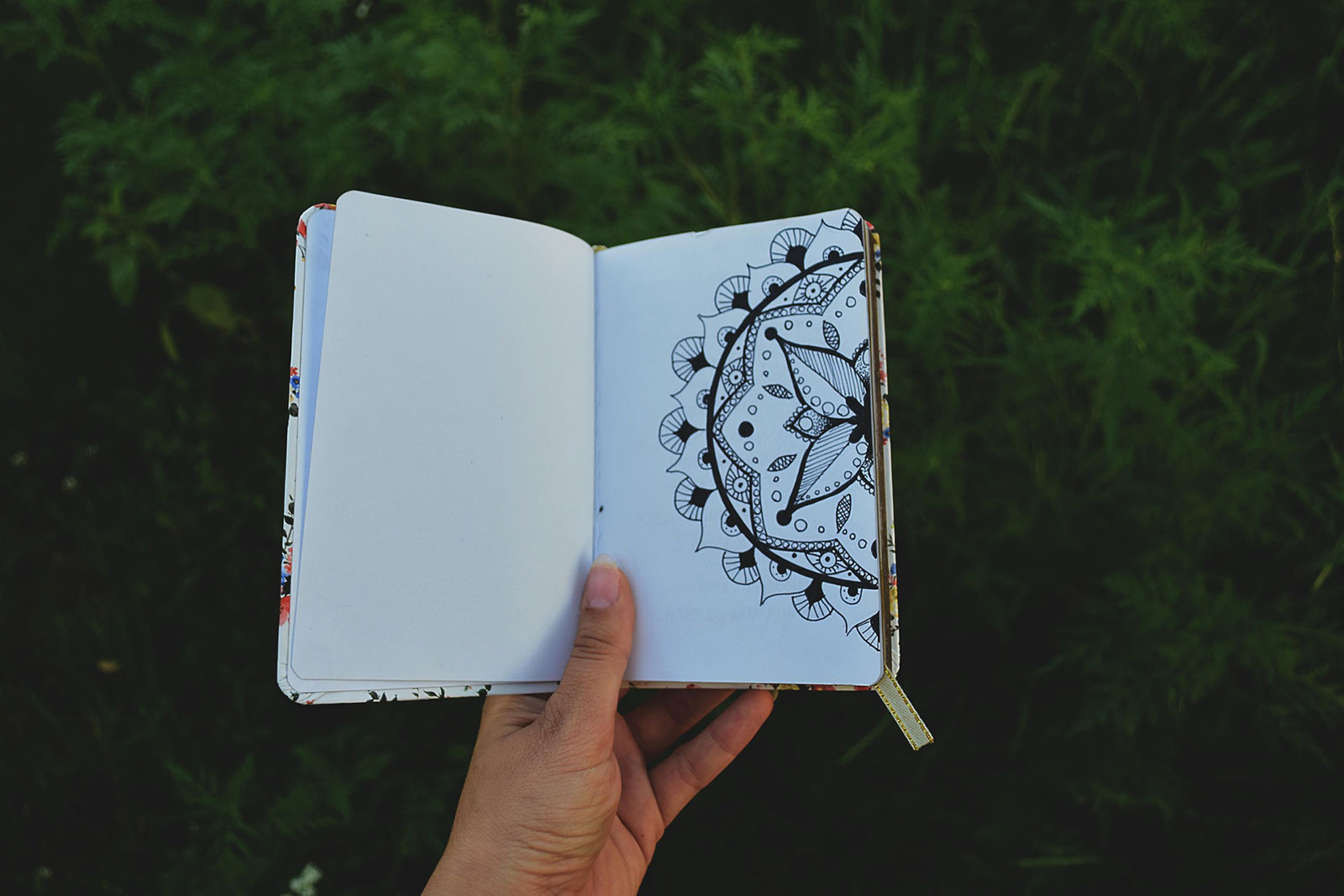 a girl holding a journal