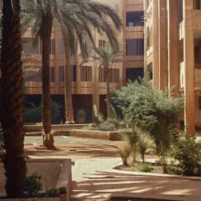 inside a courtyard of an african office complex with palm trees inside and walls are brown stone clad